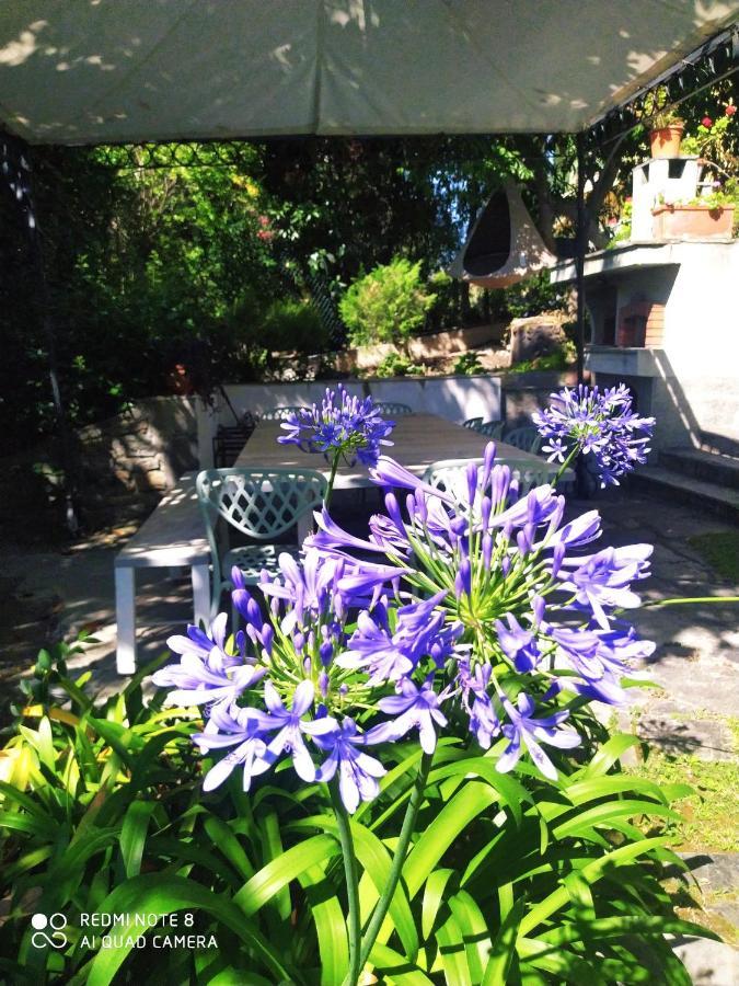 Pergolato Suite ซานเรโม ภายนอก รูปภาพ